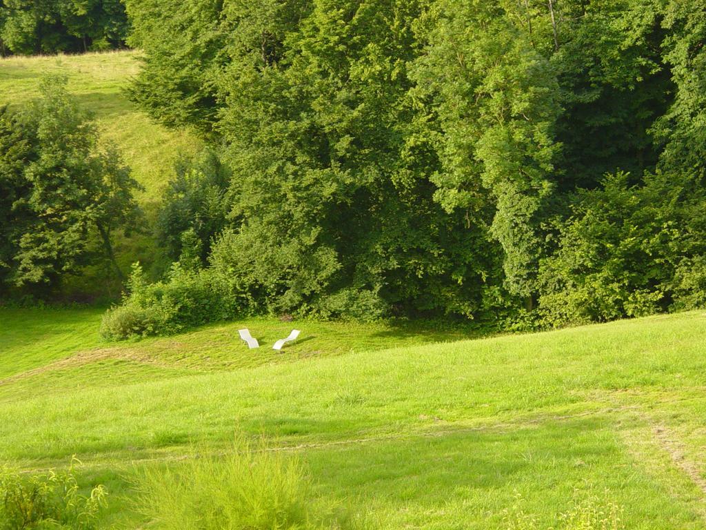 Saint-Genix-sur-GuiersLa Parenthese住宿加早餐旅馆 外观 照片